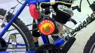 Bike with motor kit conversion Skyhawk 80cc test run