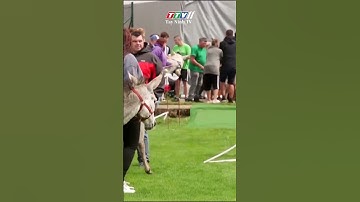 CUỘC ĐUA LỪA VUI NHỘN #shortvideo #shorts #tayninhtvart #ttv11