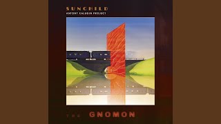 Love Will Shine Like D