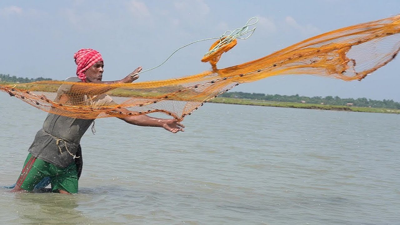 Net Fishing Traditional Cast Net Fishing In River Fishing With A