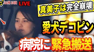 🔴🔴【LIVE12月13日】真美子が大谷より愛するデコピンが病院に緊急搬送!『元女子バスケ選手』が精神崩壊した現在に驚きを隠せない!DG、主力選手2人を相次いでヤンキースに失う ! 大谷とベッツ驚愕!