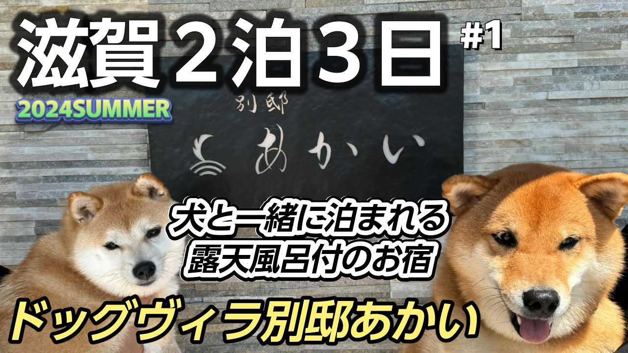 【滋賀２泊３日①】犬と泊まれる宿「ドッグヴィラ別邸あかい」露天風呂付客室で極上のサービスを満喫　50代夫婦の気まま旅