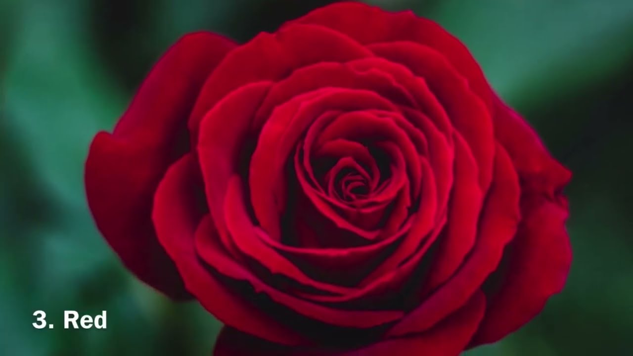 Learn Colors for kids, toddlers, babies | Top Ten Colors | Beautiful Natural Colors of the World