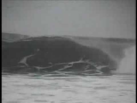 MINORITY RESISTANCE PART 2 DAVE RICH FLORIDA BODYBOARD MOV