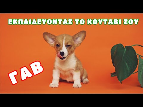 ΣΚΥΛΟ-ΒΙΝΤΕΟ 🐶 | Πώς να εκπαιδεύσεις το κουτάβι σου να κάνει την ανάγκη του έξω | Kristi Petaloti ❤