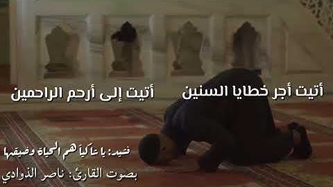 القارئ ناصر الذوادي