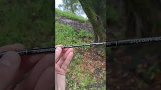 Моя малышка. Graphiteleader 21 Corto Prototype 21GCORPS-482UL-HS #рыбалка #микроджиг #мормышинг