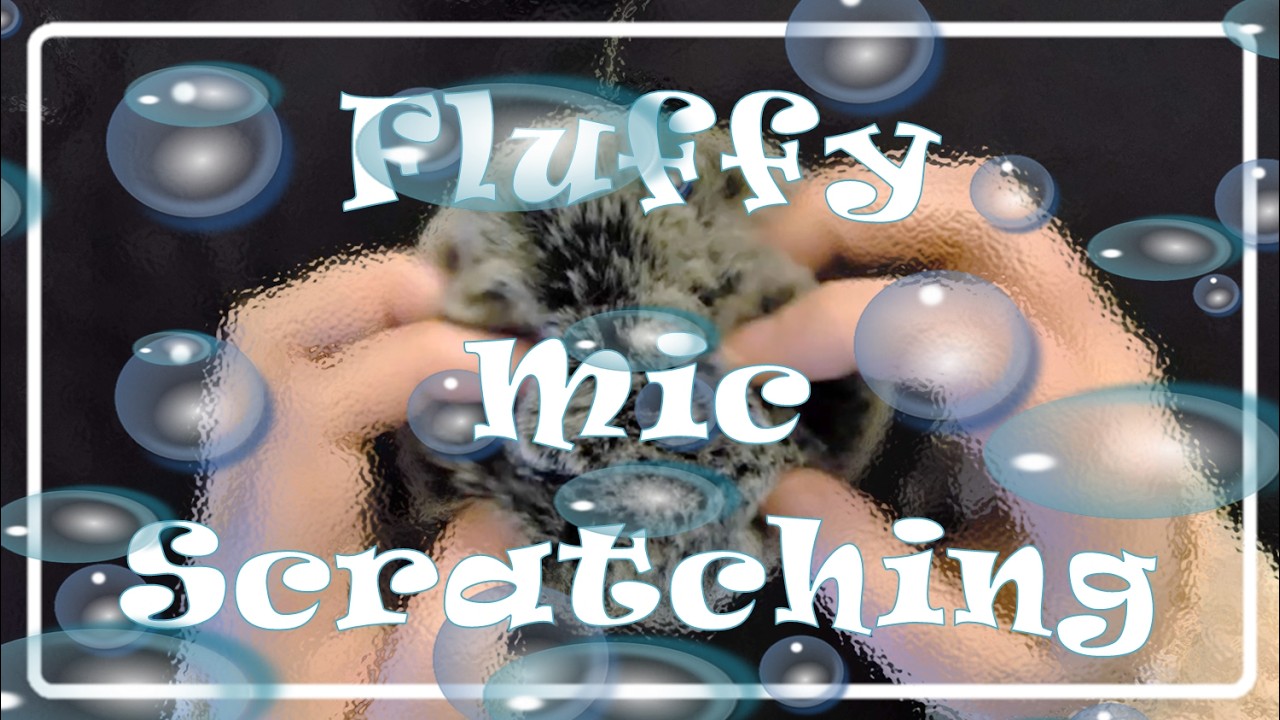 ASMR | Fluffy Mic Scratching with Rain | Slow & Gentle | No Talking ...