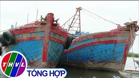 THVL | Ngư dân nợ nần vì nghề đánh bắt giã cào