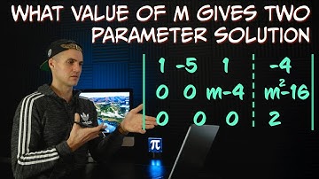 MATH 1229 (Western University) - When to get Two Parameter Solution for Matrix??