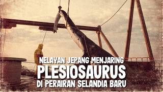 When Japanese Fishermen Net Plesiosaurs In New Zealand, The Mystery Of The 1977 Zuiyō Maru Wreck