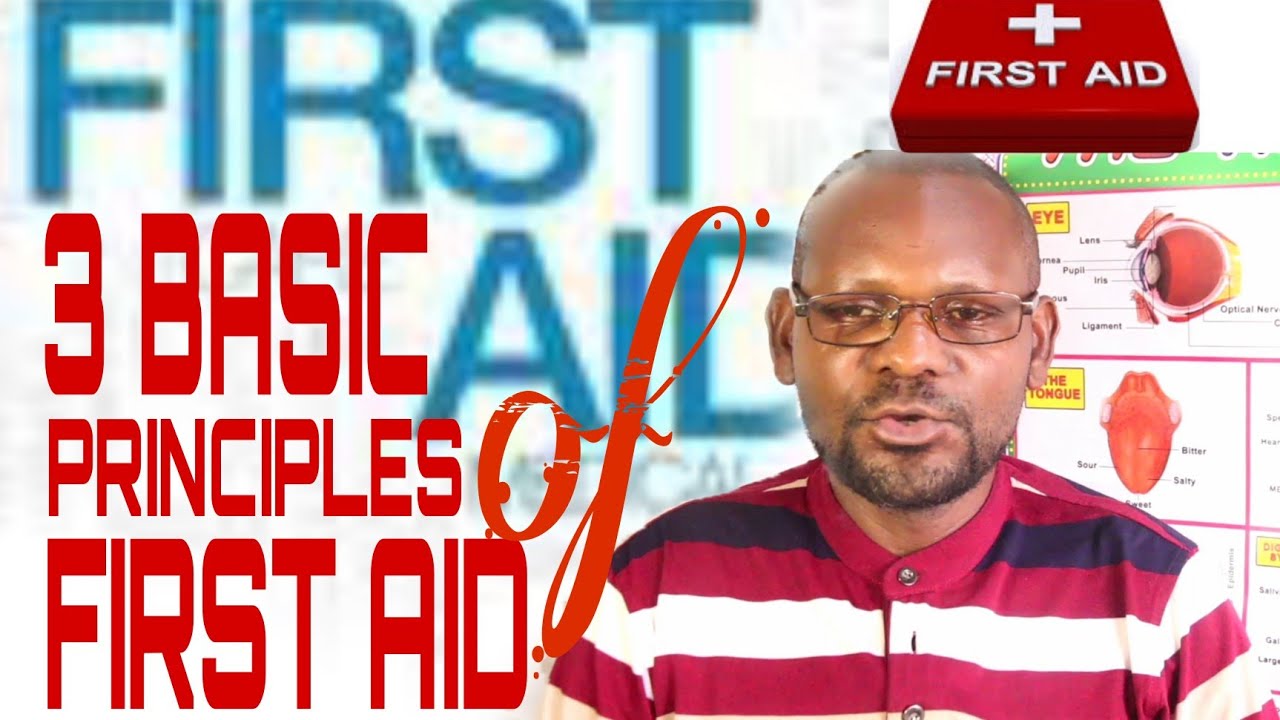 3 BASIC PRINCIPLES YOU NEED TO KNOW - YouTube