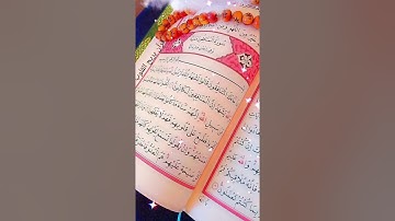 سورة المنافقون....القارئ فارس عباد 🌸🌺