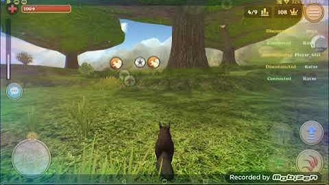 squirrel simolator V2 online