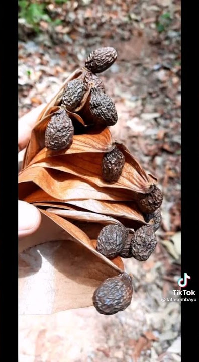 Buah kembang semangkuk