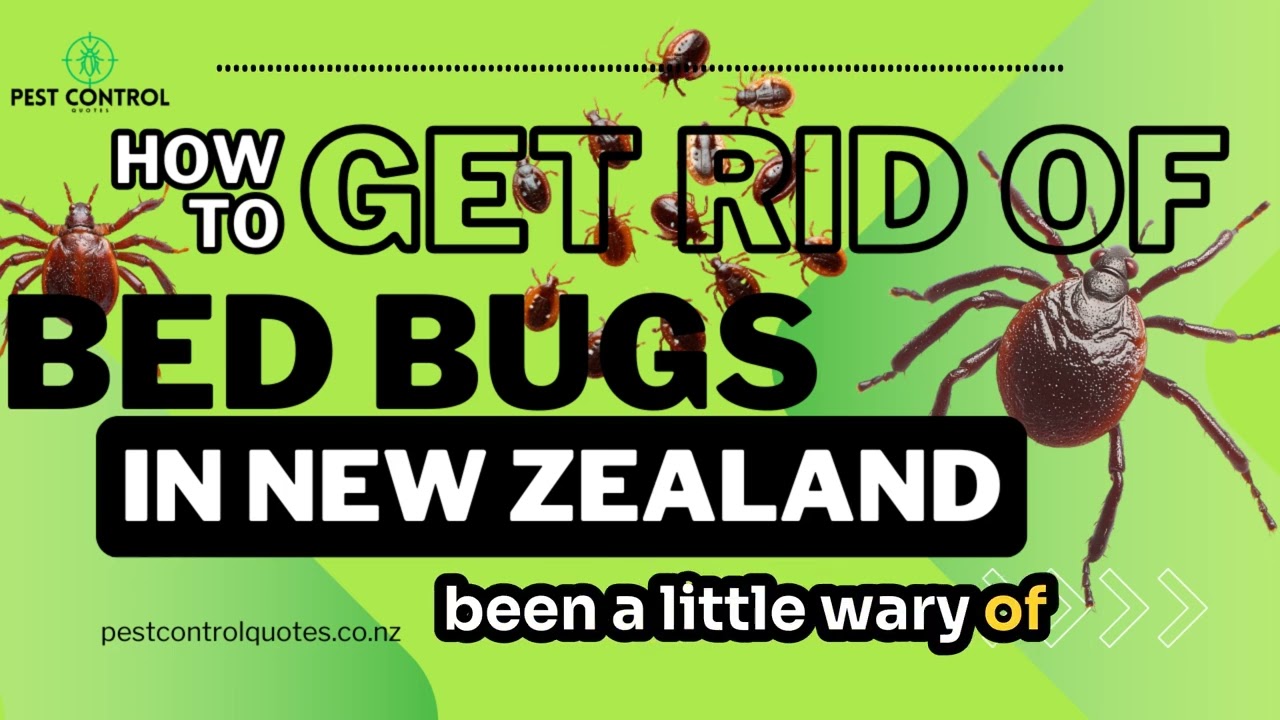 Bed Bug Control Tips