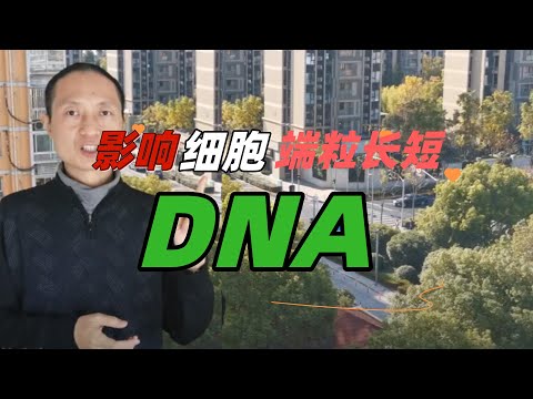 NAD是怎样影响细胞端粒的？禅修可延长端粒 @ 汪先生抗衰老