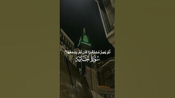 ياسر الدوسري |  سورة الجاثية الايه رقم 8