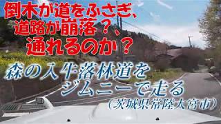 Jimny(JB23)で [茨城県]森の入牛落林道を走る - 倒木もあり、道は陥没！通れるのか？