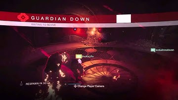 Sleeper Simulant Suicide