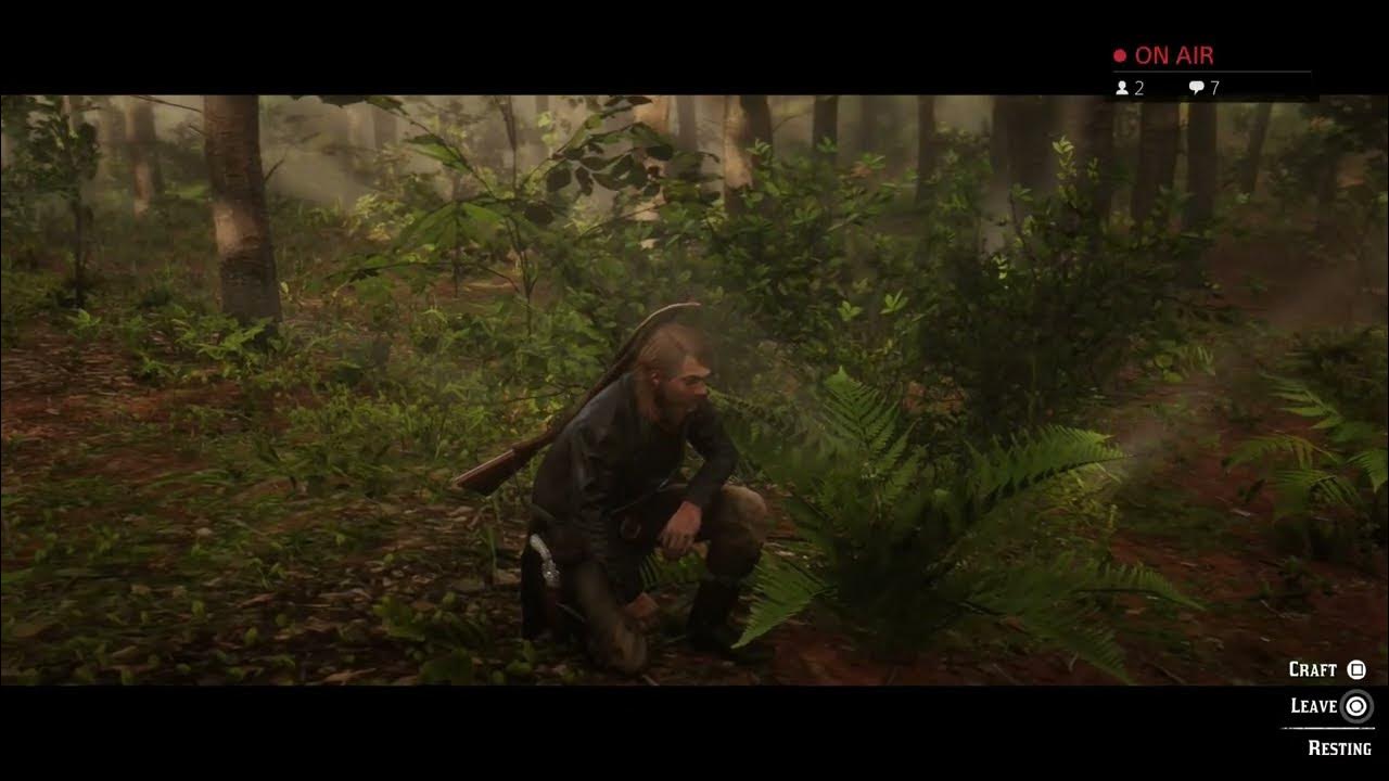Red Dead Redemption 2 Online Ps4 Pro Hunting and Trading YouTube