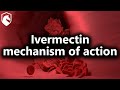 Ivermectin can reverse the clumping of red blood cells (from Livestream #156)