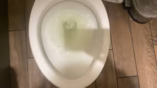 Wendys Bathroom Tour Sink And American Standard Pressure Toilet