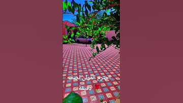 احترم القران مانت خسران شي/استمع للقران الكريم دقيقه من وقتك ❤️😴