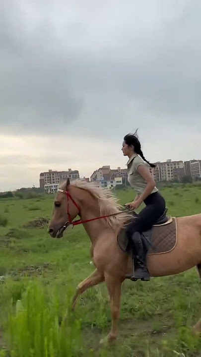 Ladies Horse or Beautiful girl riding horseback style 2