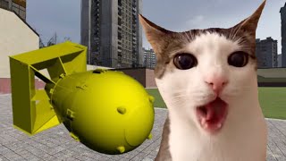 Cat eats nuclear bomb