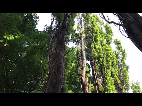 #ტაშისკარი 2018 სანატორიუმი