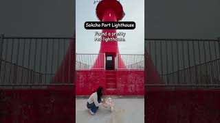 Traveling Korea With Your Dog petcare healthypets