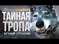 АДСКАЯ КУХНЯ ► THE LONG DARK (НЕЗВАНЫЙ ГОСТЬ +) # 9