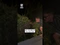 POV: you see a shiny coin in a bush 🌳🪙😂                   🎥: CONTENTbible