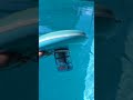 Solar Pool Ionizer See How It Works!