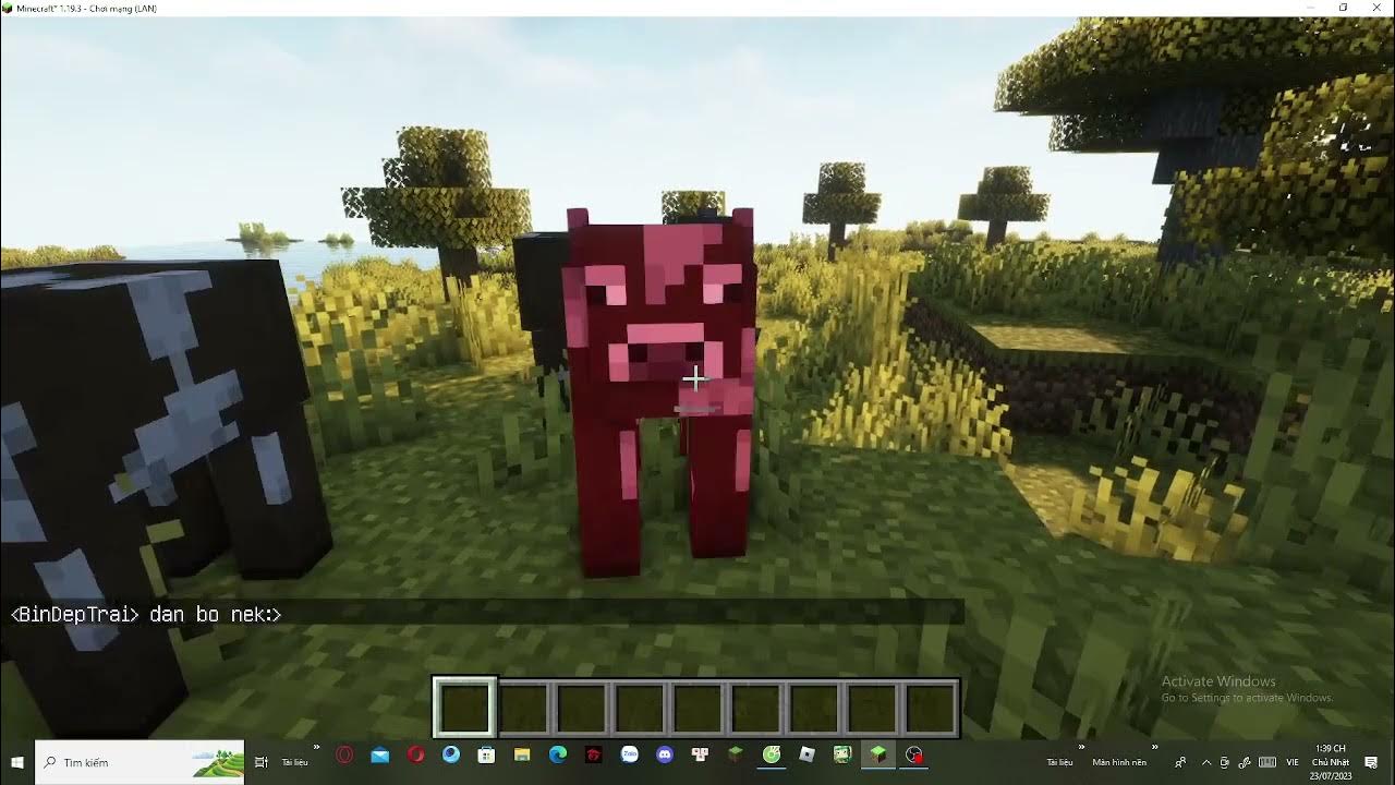 Review shader minecraft 1 19 3 binsiro mobile youtube
