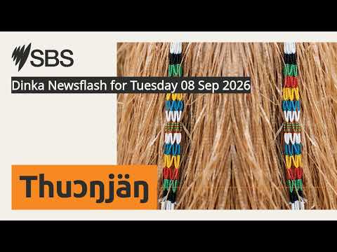 Dinka Newsflash for Tuesday 08 Sep 2026 | SBS Dinka - SBS Dinka