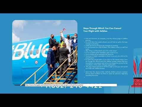Video: Si mund të rezervoj vende me nenexhik në JetBlue?