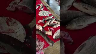 Catfish Content with a Side of Drama