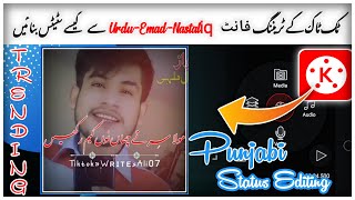 Tiktok Trending Punjabi Poetry Status Editing | Tiktok Trending Urdu Font Urdu-Emad-Nastaliq Status screenshot 2