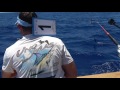 2017 Bermuda Big Game | Team Uno Mas | White Marlin