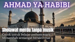 Download Mp3 Sholawat syahdu Ahmad ya Habibi tanpa musik Bikin hati tenang, menambah semangat beraktivitas Gudang lagu Download Mp3 Sholawat syahdu Ahmad ya Habibi tanpa musik Bikin hati tenang, menambah semangat beraktivitas