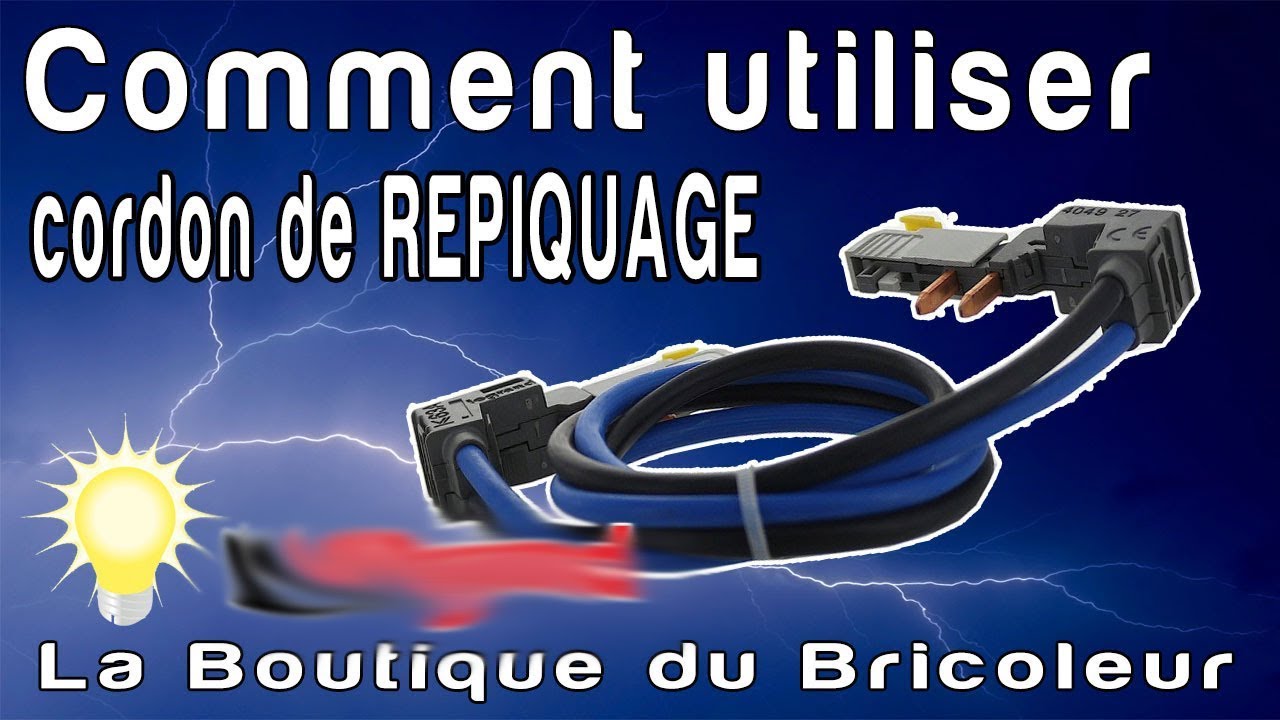 Cordon de repiquage auto auto HX3 ref 404927 DNX LEGRAND Cordon de repiquage auto auto HX3 ref 404927 DNX LEGRAND