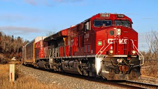 Famous RARE! Quadruple + all CPKC power! CP 7519 leads CP Stack train Eastbound at Sunalta Net Worth