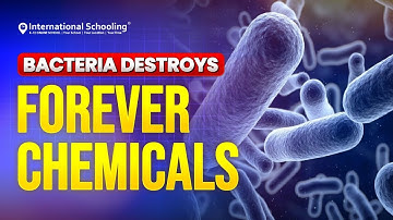 Bacteria Destroys Forever Chemicals | International Schooling