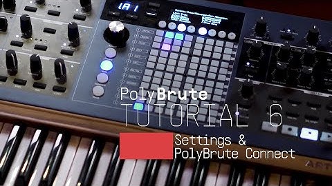 Tutorials | PolyBrute - Episode 6: Settings & PolyBrute Connect
