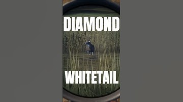I found my FIRST DIAMOND whitetail 💎🦌 | theHunter: Call of the Wild
