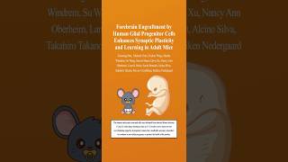 Super Mice With Human Brain Cells