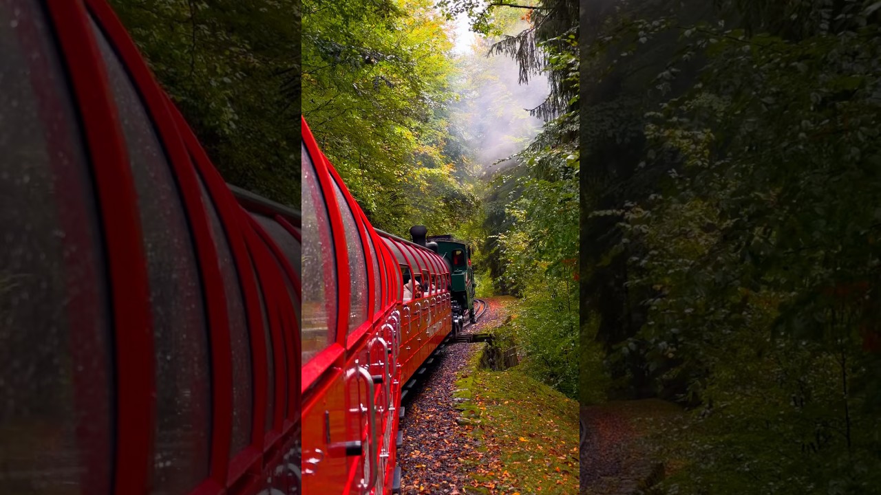 Swiss Steam sound 🚂😍 #switzerland #youtubeshorts #steamlocomotive