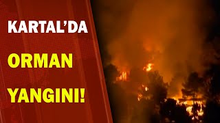 Kartal Aydos Ormanında Başlayan Yangın Kontrol Altına Alınabildi Mi? / A Haber A Haber Resimi